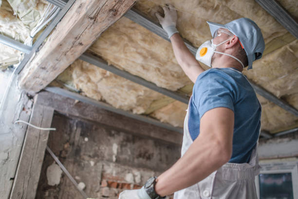 Best Residential Insulation in Burnt Store Marina, FL