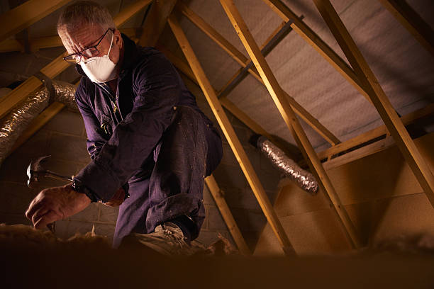 Best Geographic-Specific Insulation Services in Burnt Store Marina, FL